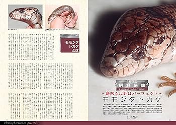 91+6ZZt4jUL._AC_UF350,